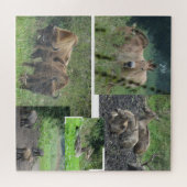 Collage Puzzle : Parc naturel Lelystad ANIMALS (Horizontal)