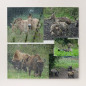 Collage Puzzle : Parc naturel Lelystad ANIMALS (Vertical)