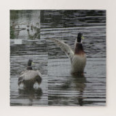 Collage Puzzle : Parc naturel Lelystad DUCK (Vertical)