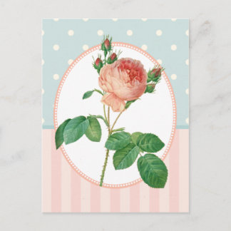 collage roze roze botanische druk briefkaart