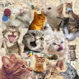 Collage van katten en speelgoed draagtas