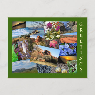 Collage van Natuur en wilde dieren Briefkaart