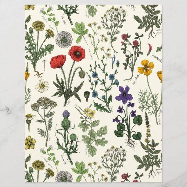 Collage van wilde bloemen (Voorkant)