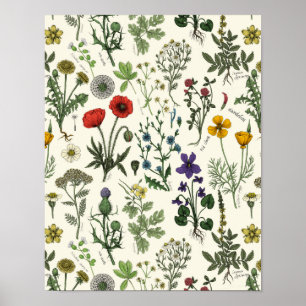 Collage van wilde bloemen poster