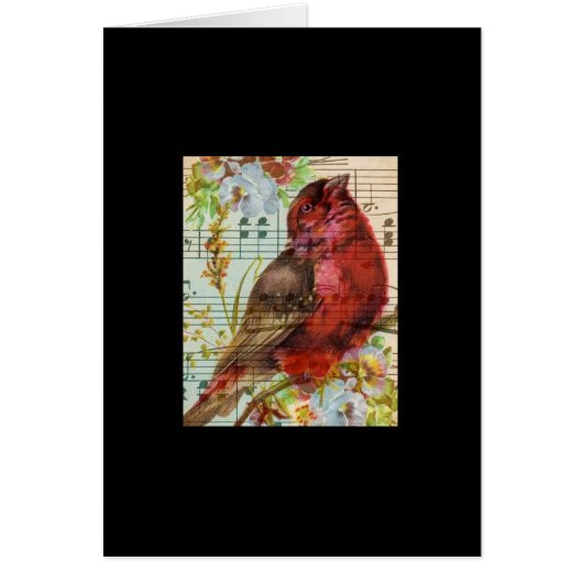 Collage vintage de séquoias (Devant)