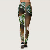 Collants (Dos)