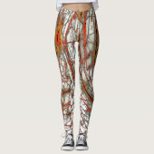 Collants Amber Web (Devant)