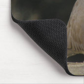 Collared Dove Mousepad Muismat (Hoek)