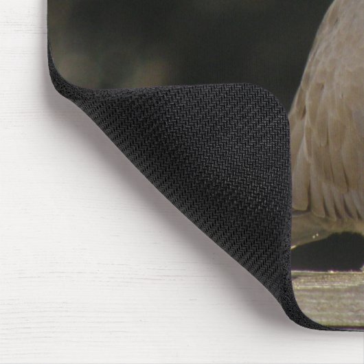 Collared Dove Mousepad Muismat (Hoek)