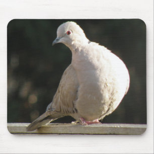 Collared Dove Mousepad Muismat