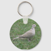 Collared Dove Sleutelhanger (Voorkant)