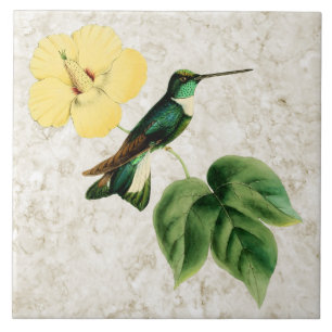 Collared Inca Hummingbird Ceramic Tile Tegeltje