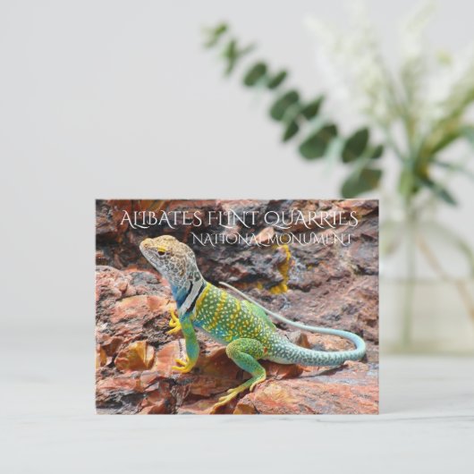 Collared Lizard, Alibates Flint Quarries, Texas Briefkaart (Staand voorkant)