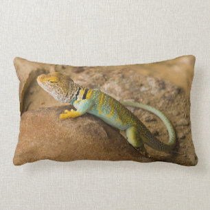 Collared Lizard Kussen