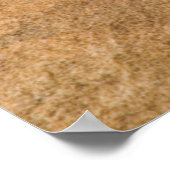 Collared Lizard Poster (Hoek)