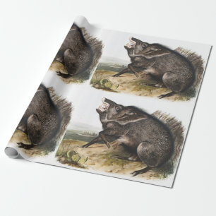Collared Peccary Dycoteles torquatus Illustratie Cadeaupapier