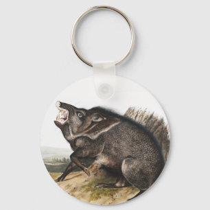 Collared Peccary Dycoteles torquatus Illustratie Sleutelhanger