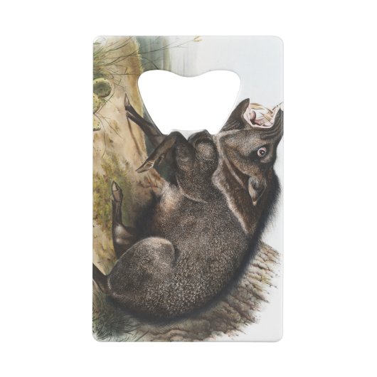 Collared Peccary Pig Camping Deco Gifts Kredietkaart Flessenopener (Achterkant)