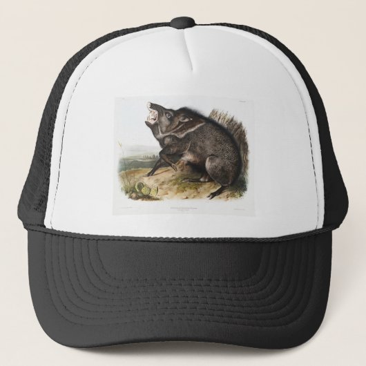 Collared Peccary Pig Camping Deco Gifts Trucker Pet (Voorkant)