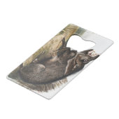 Collared peccary pig camping deco venin (Dos Angle)