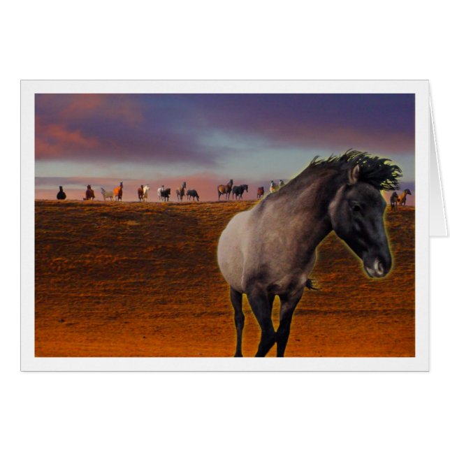 Collecte (Devant horizontal)