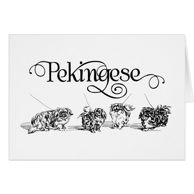 Collecte (Devant horizontal)