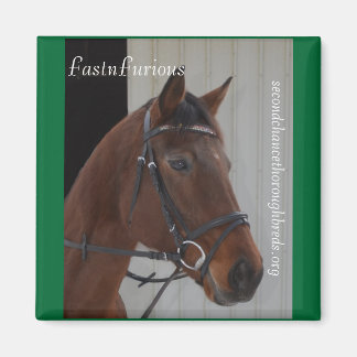 Collectible Magnet Series - FastFurious Magneet