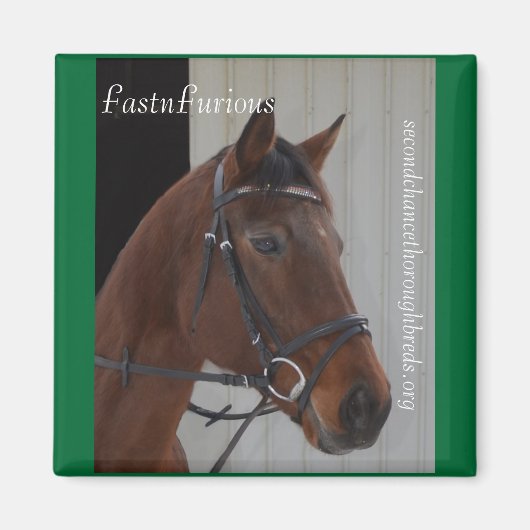 Collectible Magnet Series - FastFurious Magneet (Voorkant)