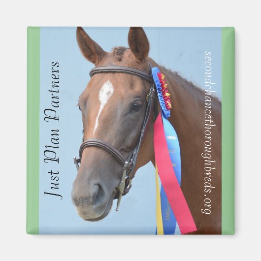 Collectible Magnet Series - Just Plan Partners Magneet (Voorkant)