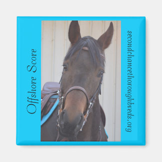 Collectible Magnet Series - Offshore Score Magneet