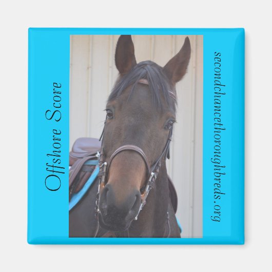 Collectible Magnet Series - Offshore Score Magneet (Voorkant)