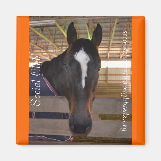 Collectible Magnet Series - Social Club Magneet