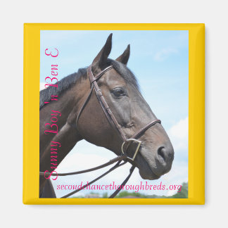 Collectible Magnet Series - Sunny Boy 'n Ben E Magneet