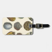 Collectie Bagagelabel (Voorkant horizontaal)