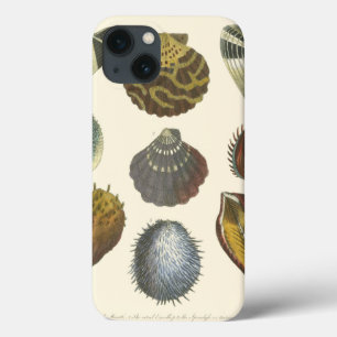 Collectie iPhone 13 Hoesje