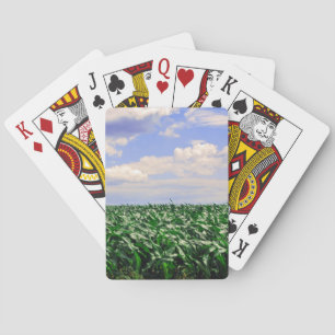 collectie "Cornfield Bgloing in the Wind" Speelkaarten
