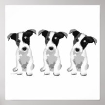 Collectie Design Roseplatine®