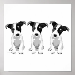 Collectie Design Roseplatine® Poster