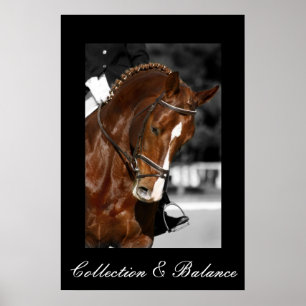 Collectie en saldo poster