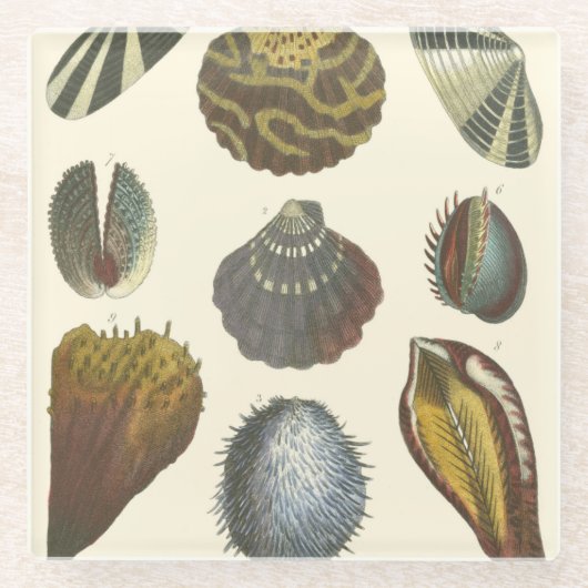 Collectie Glazen Onderzetter (Voorkant)