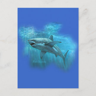 Collectie haaien op FishTs.com Briefkaart
