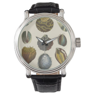 Collectie Horloge
