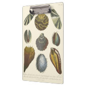 Collectie Klembord (Links)