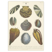 Collectie Klembord (Achterkant)