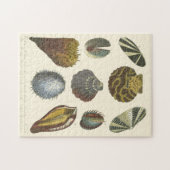 Collectie Legpuzzel (Horizontaal)