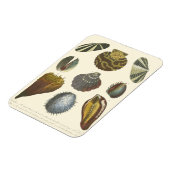 Collectie Magneet (Linkerzijde)