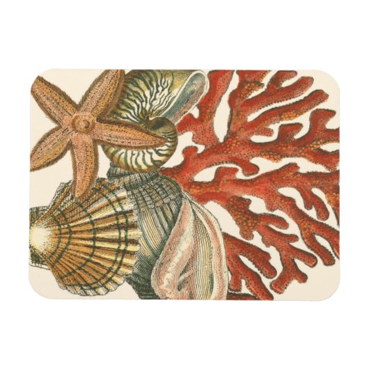 Collectie Magneet (Horizontaal)