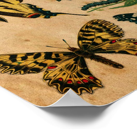 Collectie met botervlinder met verzegeld papieref poster (Hoek)