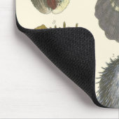 Collectie Muismat (Hoek)