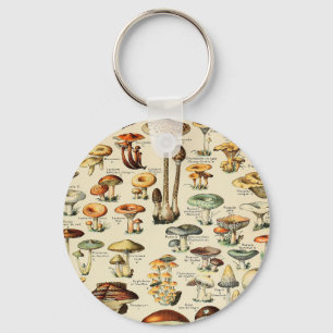 Collectie paddenstoel     sleutelhanger